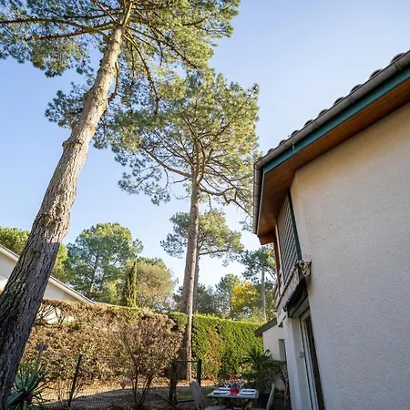 Apartament L'oree - Cosy Face Aux Pins La Teste-de-Buch
