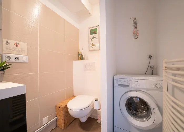 L'oree - Cosy Face Aux Pins *